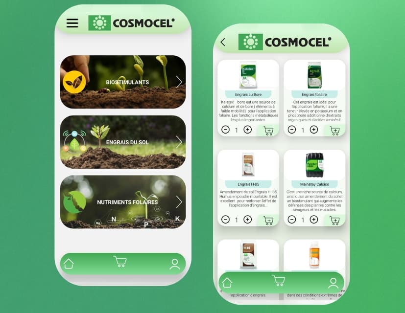 cosmocel_work