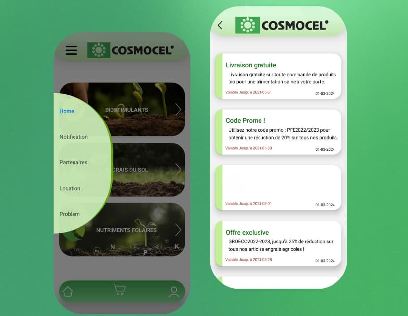 cosmocel_work